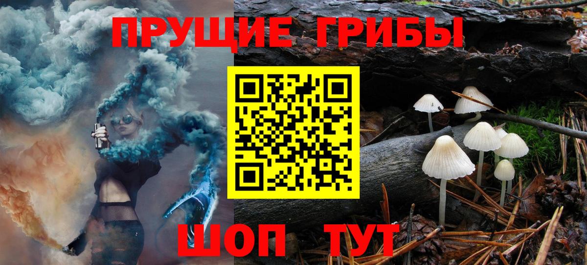 Псилоцибиновые грибы GOLDEN TEACHER Тында