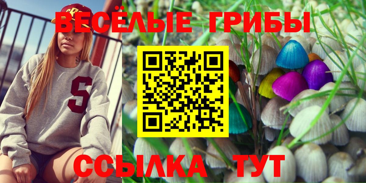 Тында  Псилоцибиновые грибы GOLDEN TEACHER  Вход с VPN 